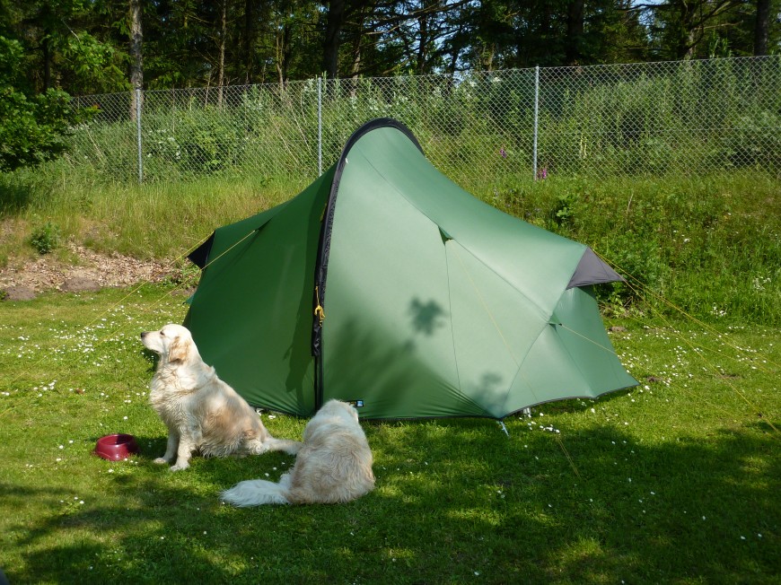 Zelt mit Hund ich seh den Wald vor lauter Bäumen nicht