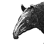 utor utor