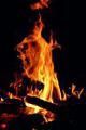SwedishCampfire
