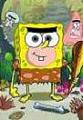 SquarePants