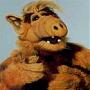 GordonShumway