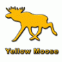 YellowMoose