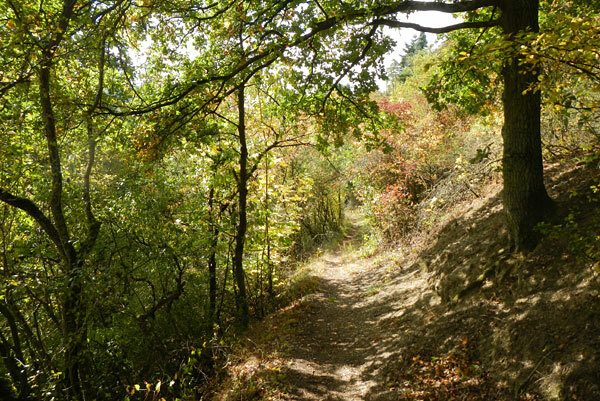 Klicke auf die Grafik für eine vergrößerte Ansicht  Name: 120927-005.jpg Ansichten: 0 Größe: 136,3 KB ID: 3004961