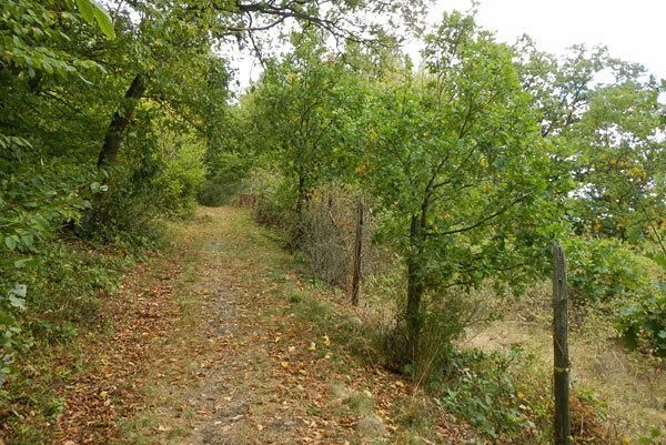 Klicke auf die Grafik für eine vergrößerte Ansicht  Name: 120928-045.jpg Ansichten: 1 Größe: 120,8 KB ID: 3004977