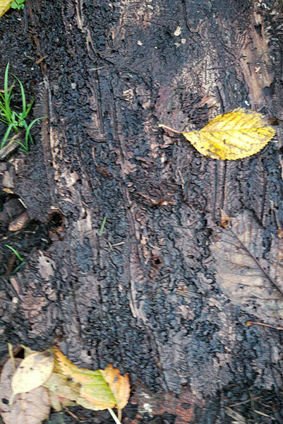 Klicke auf die Grafik für eine vergrößerte Ansicht  Name: IMG_20191018_181500.jpg Ansichten: 1 Größe: 114,6 KB ID: 3005232