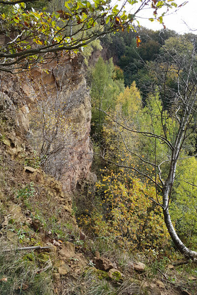 Klicke auf die Grafik für eine vergrößerte Ansicht  Name: IMG_20191019_140052.jpg Ansichten: 1 Größe: 137,6 KB ID: 3005257