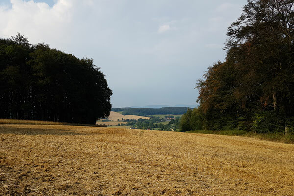 Klicke auf die Grafik für eine vergrößerte Ansicht

Name: 190802-008.jpg
Ansichten: 292
Größe: 69,2 KB
ID: 3006113