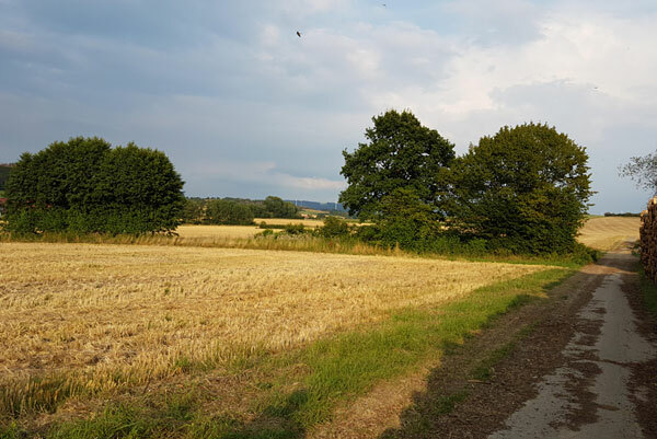 Klicke auf die Grafik für eine vergrößerte Ansicht

Name: 190802-014.jpg
Ansichten: 321
Größe: 70,3 KB
ID: 3006115