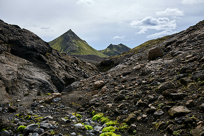 Klicke auf die Grafik für eine vergrößerte Ansicht  Name: Island2018-DSC_2791.jpg Ansichten: 0 Größe: 483,0 KB ID: 3008451