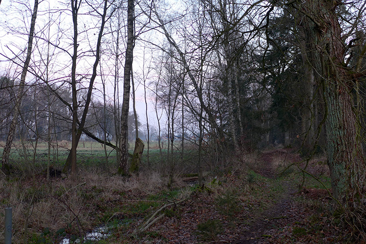 Klicke auf die Grafik für eine vergrößerte Ansicht

Name: Mariensee_21.jpg
Ansichten: 894
Größe: 272,6 KB
ID: 3015846