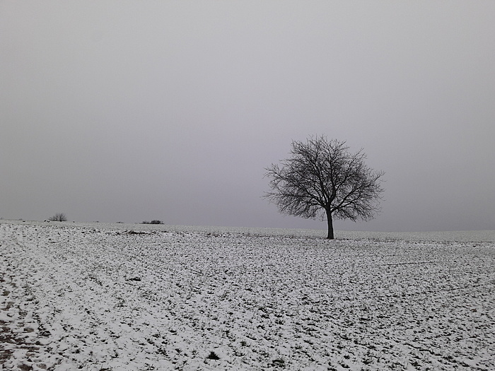 Klicke auf die Grafik für eine vergrößerte Ansicht

Name: download.jpg
Ansichten: 469
Größe: 3,78 MB
ID: 3089718