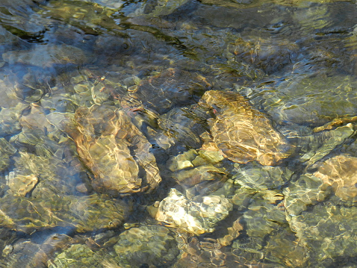 Klicke auf die Grafik für eine vergrößerte Ansicht  Name: DSCN8621.JPG Ansichten: 251 Größe: 1,47 MB ID: 3018363