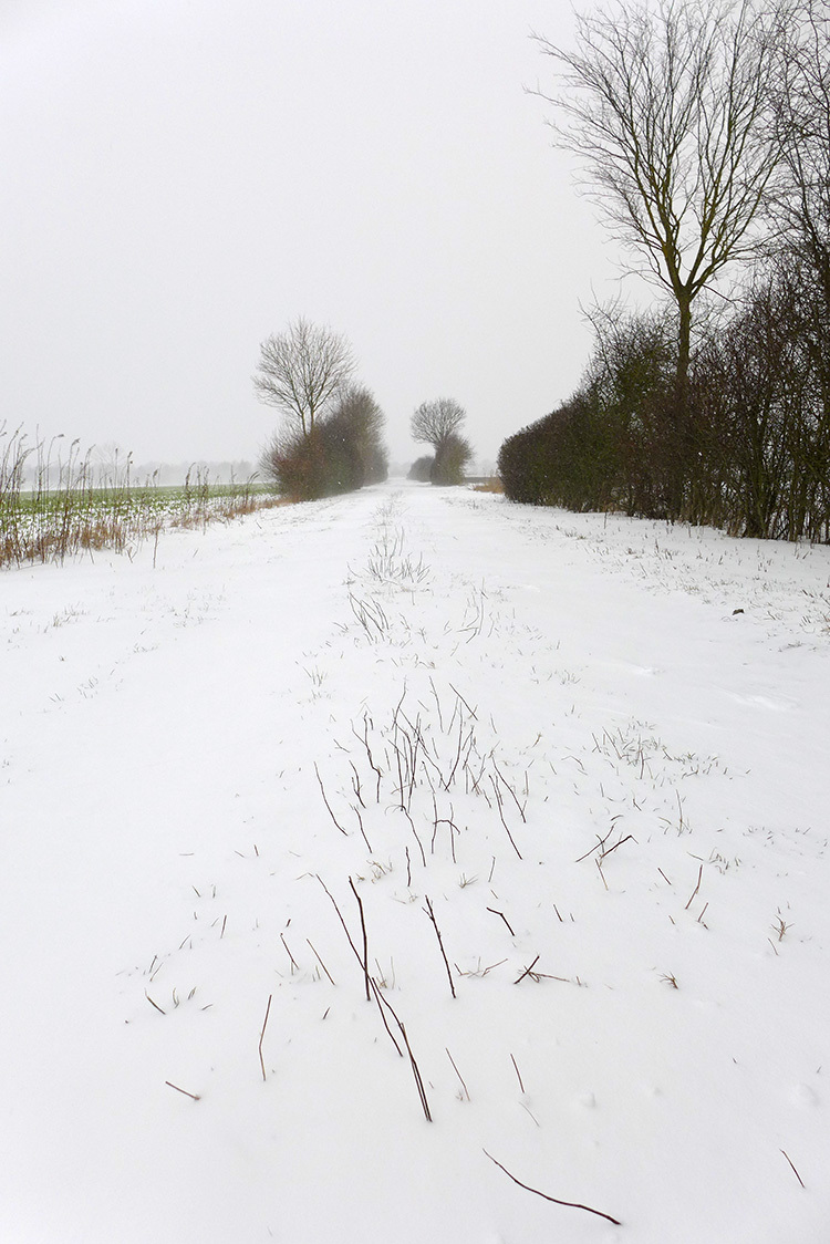 Klicke auf die Grafik für eine vergrößerte Ansicht  Name: Schneeheckenweg.jpg Ansichten: 0 Größe: 258,0 KB ID: 3019090