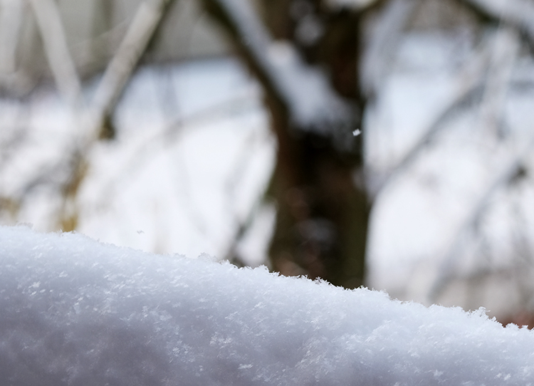 Klicke auf die Grafik für eine vergrößerte Ansicht  Name: Schneefloeckchen.jpg Ansichten: 0 Größe: 195,6 KB ID: 3019756