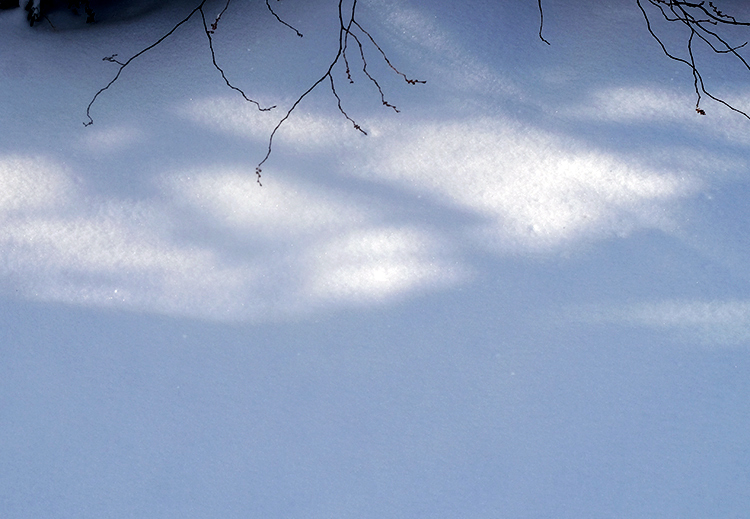 Klicke auf die Grafik für eine vergrößerte Ansicht

Name: Schneefloeckchen_3.jpg
Ansichten: 346
Größe: 258,6 KB
ID: 3019764
