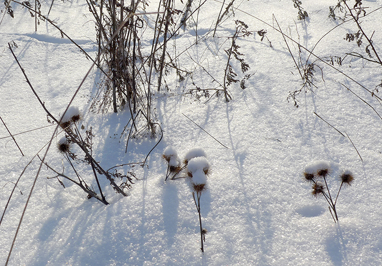 Klicke auf die Grafik für eine vergrößerte Ansicht  Name: Schneetag_05.jpg Ansichten: 0 Größe: 480,4 KB ID: 3019924