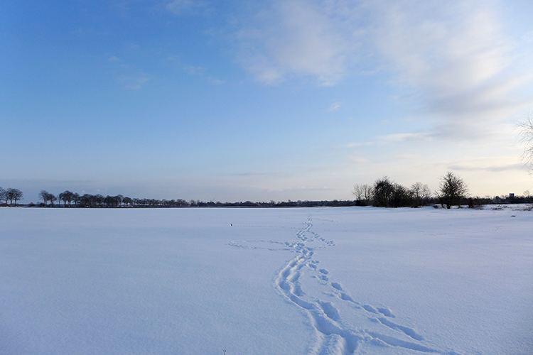 Klicke auf die Grafik für eine vergrößerte Ansicht  Name: Schneetag_10.jpg Ansichten: 0 Größe: 281,9 KB ID: 3019929