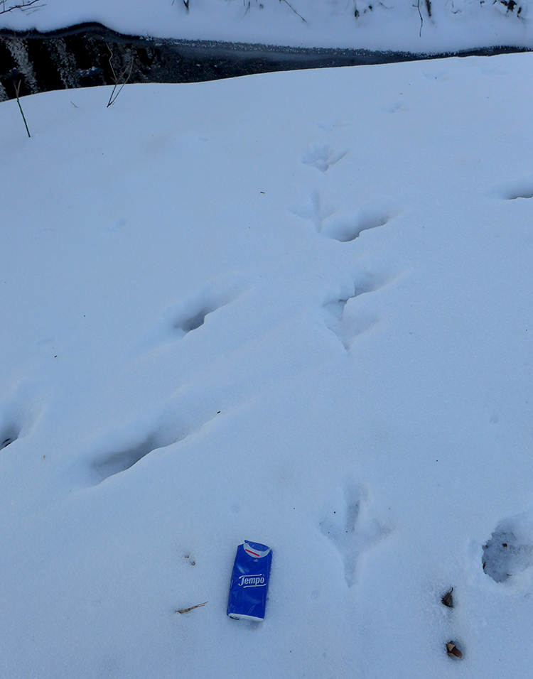 Klicke auf die Grafik für eine vergrößerte Ansicht

Name: Schnee_Tierspuren_4.jpg
Ansichten: 435
Größe: 548,8 KB
ID: 3020980
