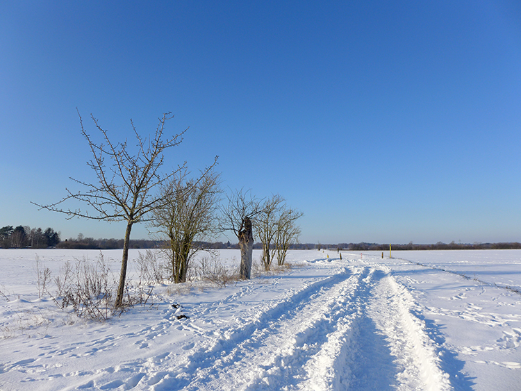 Klicke auf die Grafik für eine vergrößerte Ansicht  Name: Schneetag_16.jpg Ansichten: 0 Größe: 438,0 KB ID: 3021075