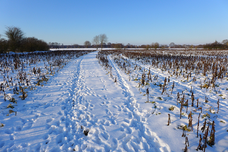 Klicke auf die Grafik für eine vergrößerte Ansicht  Name: Schneetag_20.jpg Ansichten: 0 Größe: 515,2 KB ID: 3021079