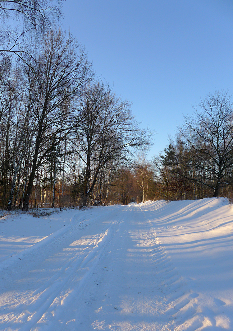 Klicke auf die Grafik für eine vergrößerte Ansicht  Name: Schneetag_22.jpg Ansichten: 0 Größe: 954,3 KB ID: 3021081