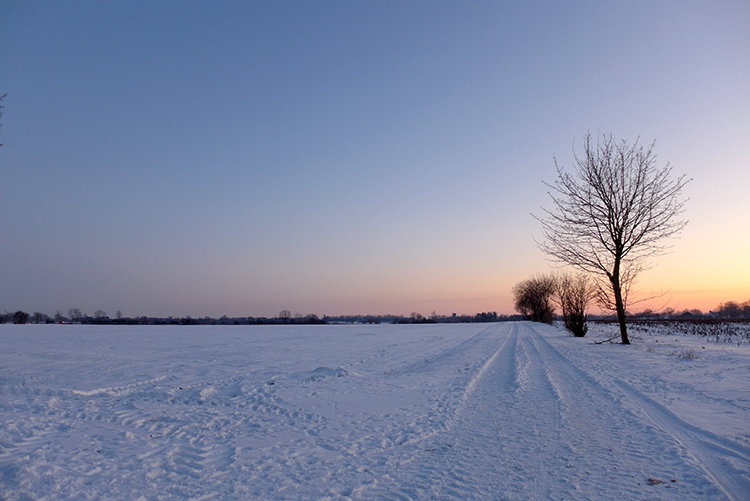 Klicke auf die Grafik für eine vergrößerte Ansicht  Name: Schneetag_33.jpg Ansichten: 0 Größe: 316,7 KB ID: 3021092