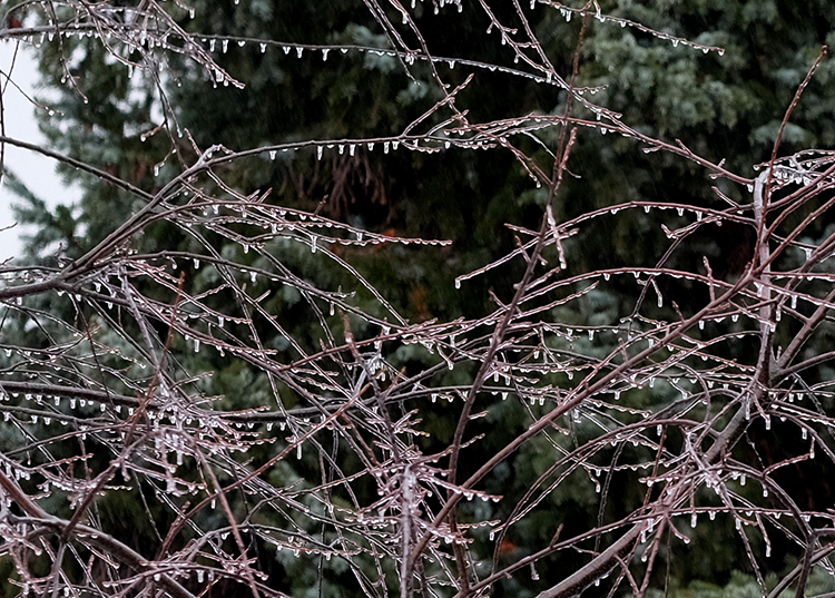 Klicke auf die Grafik für eine vergrößerte Ansicht

Name: Eisregen.jpg
Ansichten: 509
Größe: 478,4 KB
ID: 3021457