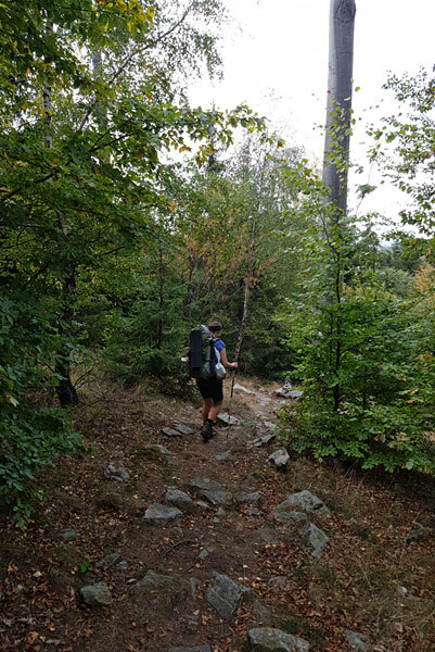 Klicke auf die Grafik für eine vergrößerte Ansicht

Name: IMG_20200920_142942.jpg
Ansichten: 658
Größe: 113,5 KB
ID: 3021473