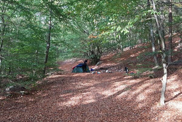 Klicke auf die Grafik für eine vergrößerte Ansicht

Name: IMG_20200920_172602.jpg
Ansichten: 657
Größe: 130,6 KB
ID: 3021474