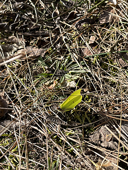 Klicke auf die Grafik für eine vergrößerte Ansicht

Name: IMG_0238.jpeg
Ansichten: 351
Größe: 4,45 MB
ID: 3022809