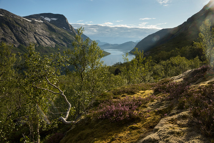 Klicke auf die Grafik für eine vergrößerte Ansicht  Name: 159_norge_08-2020_0866.jpg Ansichten: 0 Größe: 217,1 KB ID: 3025003