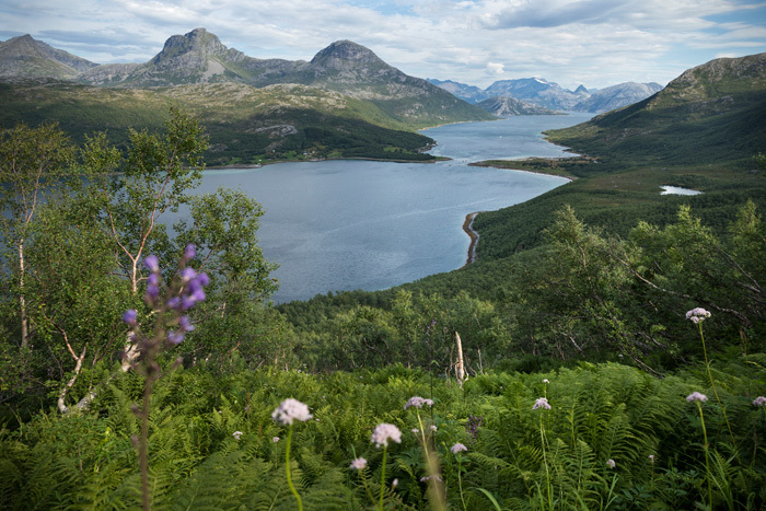 Klicke auf die Grafik für eine vergrößerte Ansicht  Name: 171_norge_08-2020_0932.jpg Ansichten: 0 Größe: 198,4 KB ID: 3025192