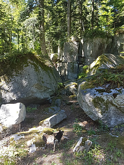 Naturdenkmal Volzemer Stein