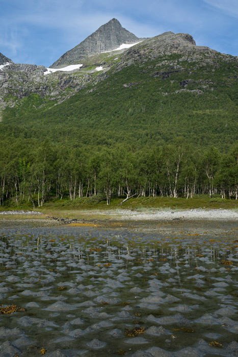 Klicke auf die Grafik für eine vergrößerte Ansicht  Name: 247_norge_08-2020_1365.jpg Ansichten: 0 Größe: 177,1 KB ID: 3026319