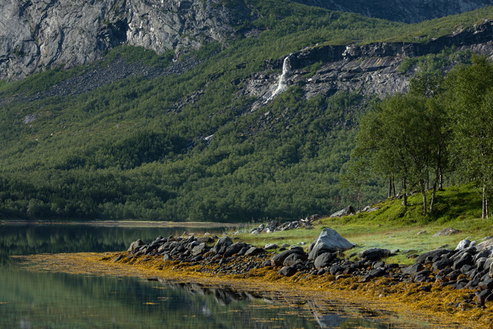 Klicke auf die Grafik für eine vergrößerte Ansicht  Name: 246_norge_08-2020_1355.jpg Ansichten: 0 Größe: 216,9 KB ID: 3026322