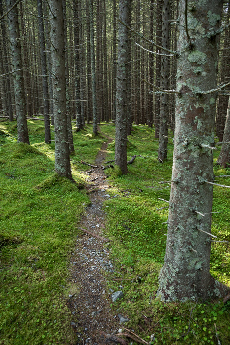 Klicke auf die Grafik für eine vergrößerte Ansicht  Name: 255_norge_08-2020_1394.jpg Ansichten: 0 Größe: 248,0 KB ID: 3026327
