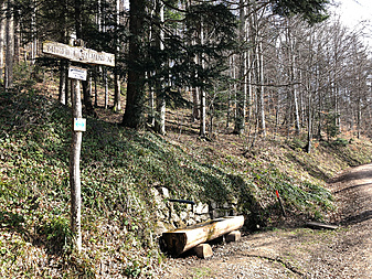 Klicke auf die Grafik für eine vergrößerte Ansicht

Name: IMG_0077.jpg
Ansichten: 4242
Größe: 9,93 MB
ID: 3026352
