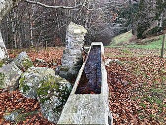 Klicke auf die Grafik für eine vergrößerte Ansicht  Name: 181125_PrägIMG_3064.jpg Ansichten: 0 Größe: 7,56 MB ID: 3026397