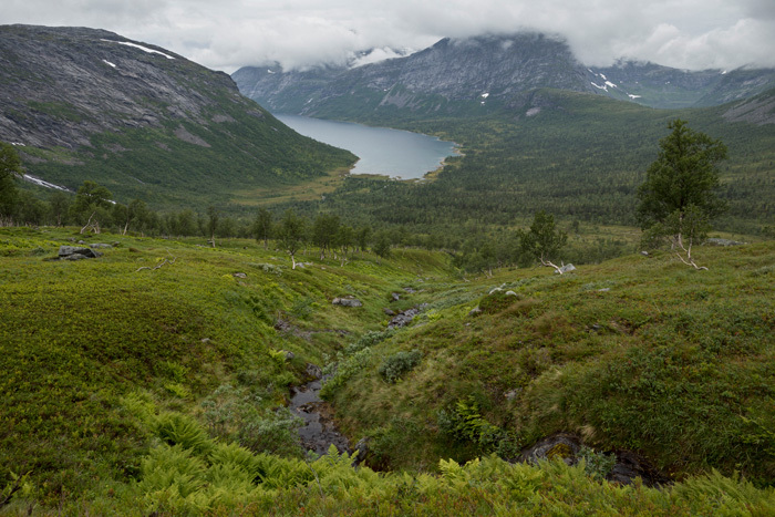Klicke auf die Grafik für eine vergrößerte Ansicht  Name: 264_norge_08-2020_1443.jpg Ansichten: 0 Größe: 182,3 KB ID: 3026752