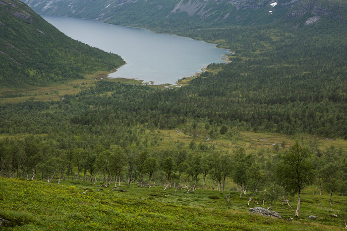 Klicke auf die Grafik für eine vergrößerte Ansicht  Name: 265_norge_08-2020_1438.jpg Ansichten: 0 Größe: 176,2 KB ID: 3026753
