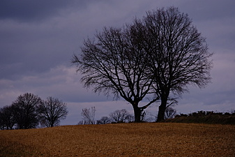 Klicke auf die Grafik für eine vergrößerte Ansicht

Name: 2021_0306_16145300.jpg
Ansichten: 766
Größe: 1,04 MB
ID: 3027319