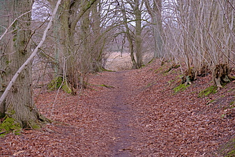 Klicke auf die Grafik für eine vergrößerte Ansicht

Name: 2021_0306_16140500.jpg
Ansichten: 775
Größe: 1,52 MB
ID: 3027324