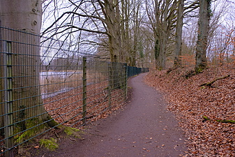 Klicke auf die Grafik für eine vergrößerte Ansicht

Name: 2021_0306_16135300.jpg
Ansichten: 773
Größe: 1,65 MB
ID: 3027325