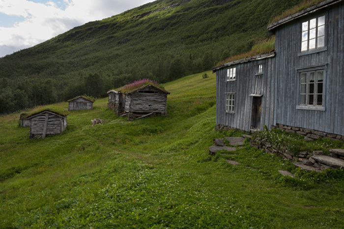 Klicke auf die Grafik für eine vergrößerte Ansicht  Name: 347_norge_08-2020_1941.jpg Ansichten: 0 Größe: 177,2 KB ID: 3027950