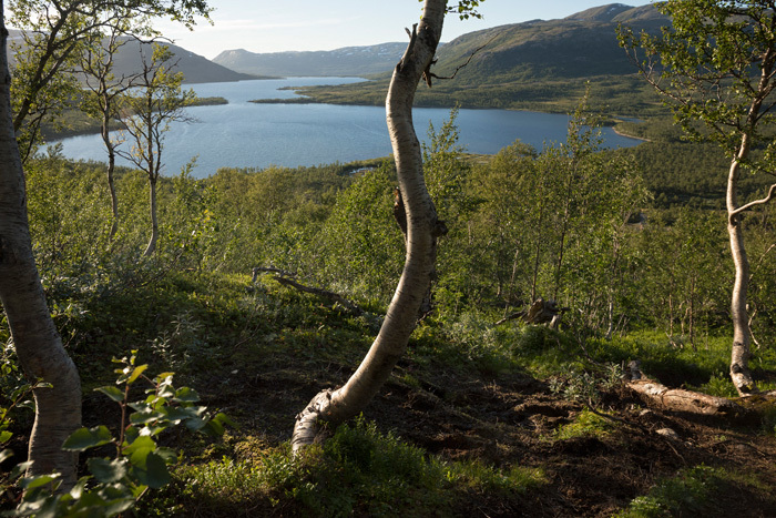 Klicke auf die Grafik für eine vergrößerte Ansicht  Name: 392_norge_08-2020_2135.jpg Ansichten: 0 Größe: 227,3 KB ID: 3028310