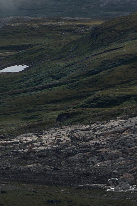 Klicke auf die Grafik für eine vergrößerte Ansicht  Name: norge_08-2020_2012neu.jpg Ansichten: 0 Größe: 455,2 KB ID: 3028508