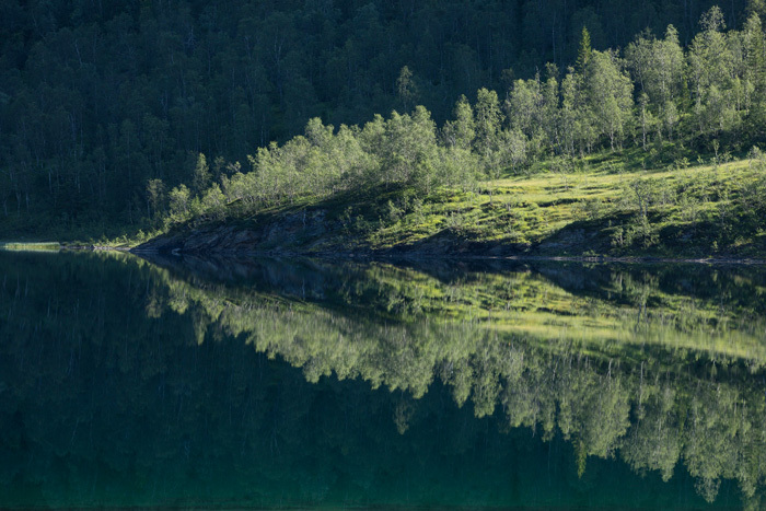 Klicke auf die Grafik für eine vergrößerte Ansicht  Name: 400_norge_08-2020_2169.jpg Ansichten: 0 Größe: 158,3 KB ID: 3028870