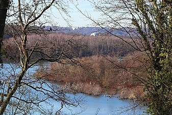 Klicke auf die Grafik für eine vergrößerte Ansicht

Name: baldeneysteig1.jpg
Ansichten: 497
Größe: 1,09 MB
ID: 3030665