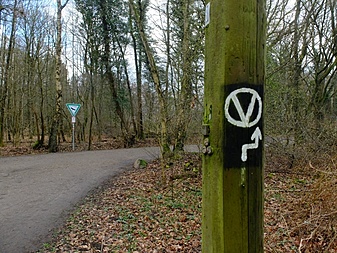 Klicke auf die Grafik für eine vergrößerte Ansicht  Name: volksdorfweg008.jpg Ansichten: 0 Größe: 413,7 KB ID: 3032136