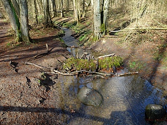 Klicke auf die Grafik für eine vergrößerte Ansicht  Name: volksdorfweg003.jpg Ansichten: 0 Größe: 434,2 KB ID: 3032137